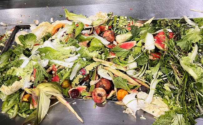 农贸市场蔬菜垃圾处理设备