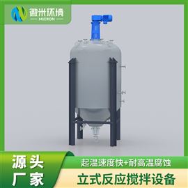 立式反应搅拌器